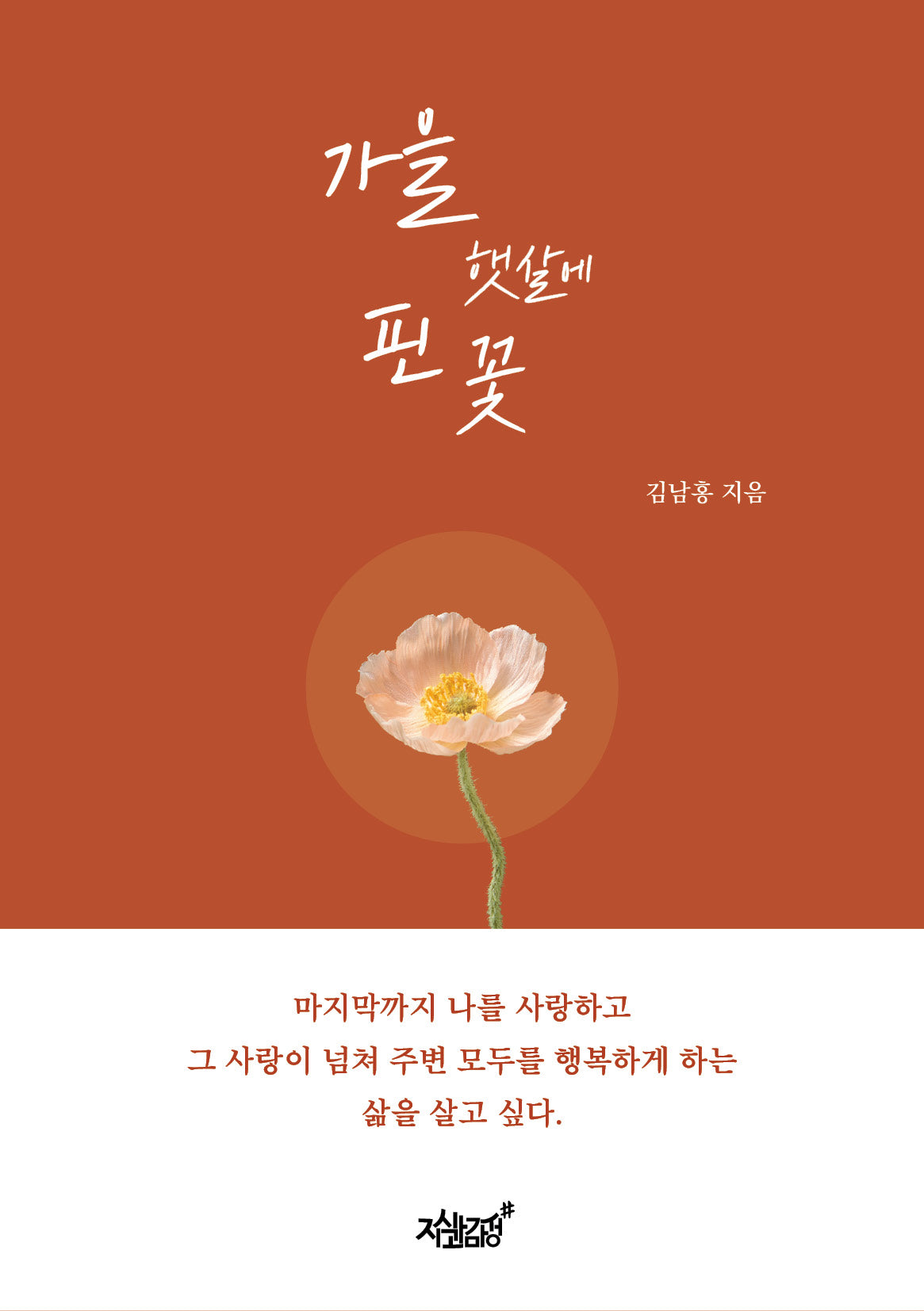 가을 햇살에 핀 꽃