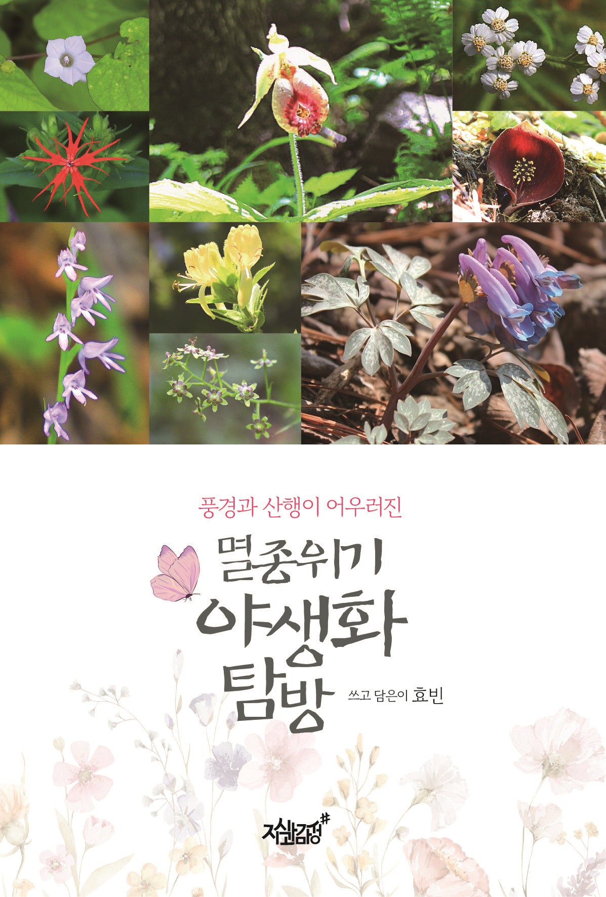 멸종위기 야생화 탐방