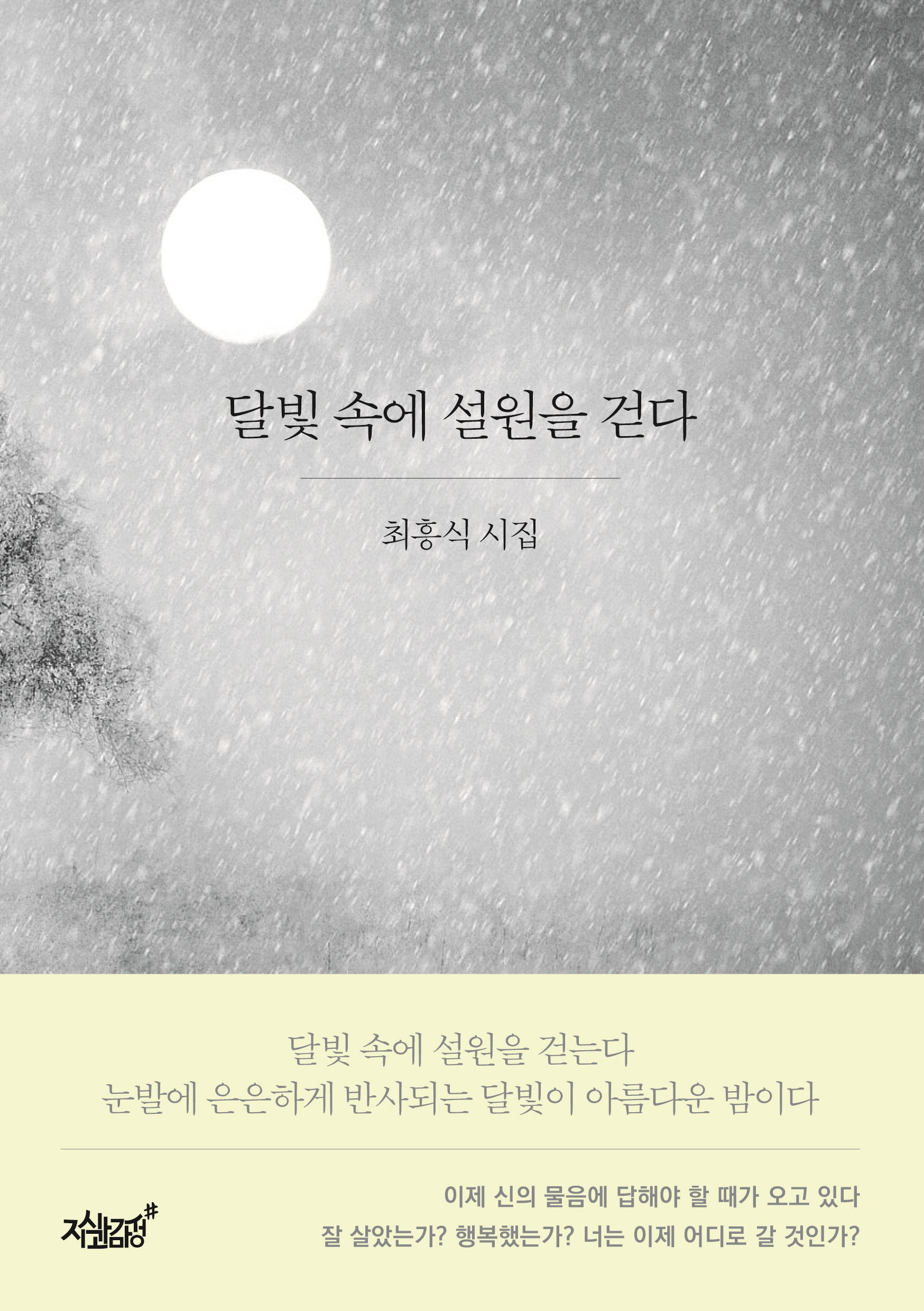 달빛 속에 설원을 걷다