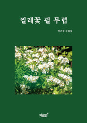 찔레꽃 필 무렵