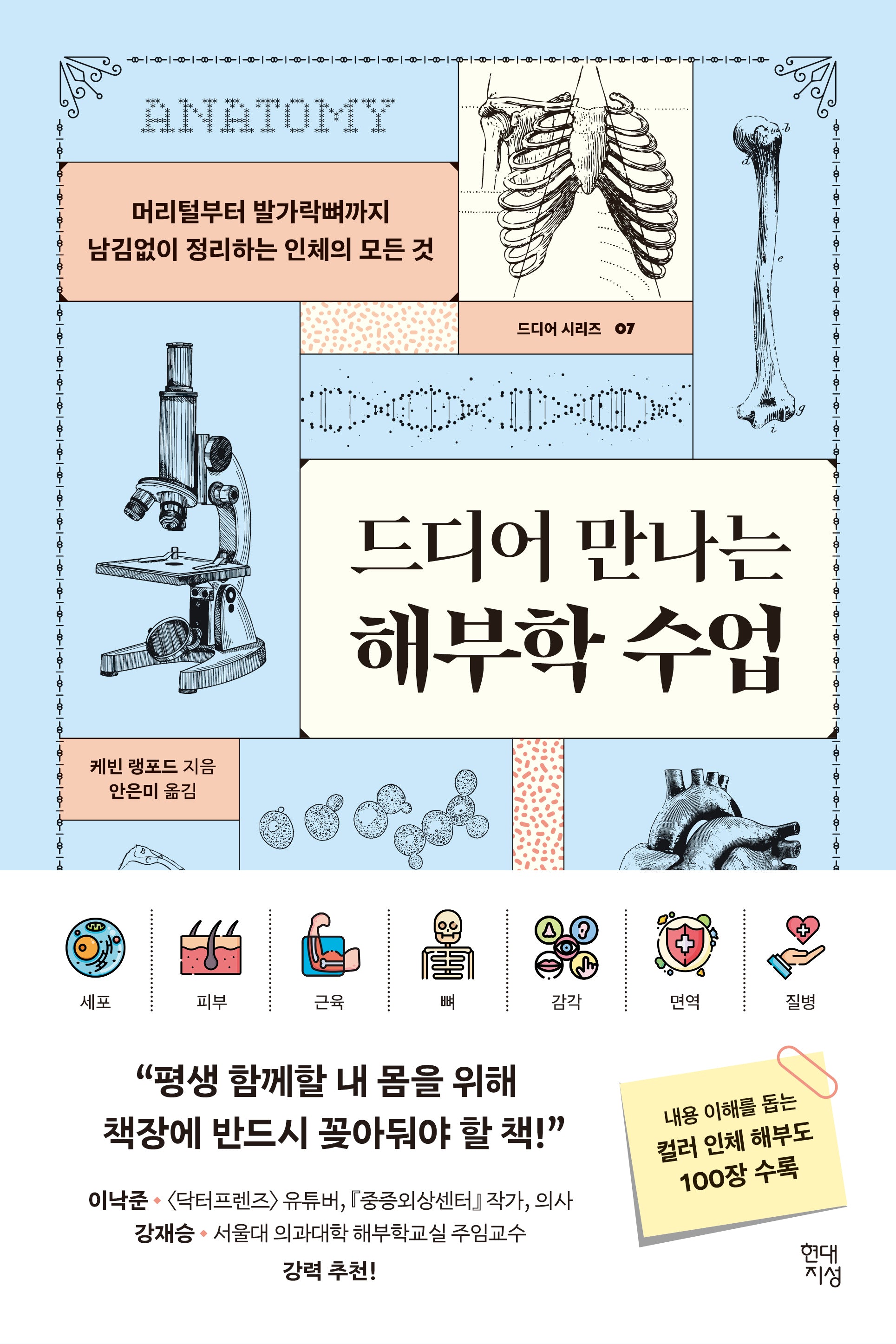 드디어 만나는 해부학 수업(드디어 시리즈 7)
