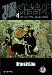 강철의 연금술사 12