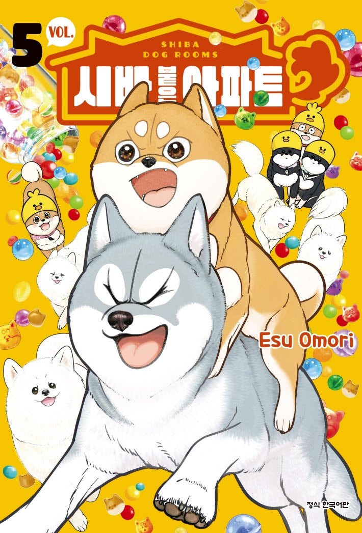 시바 붙은 아파트 5