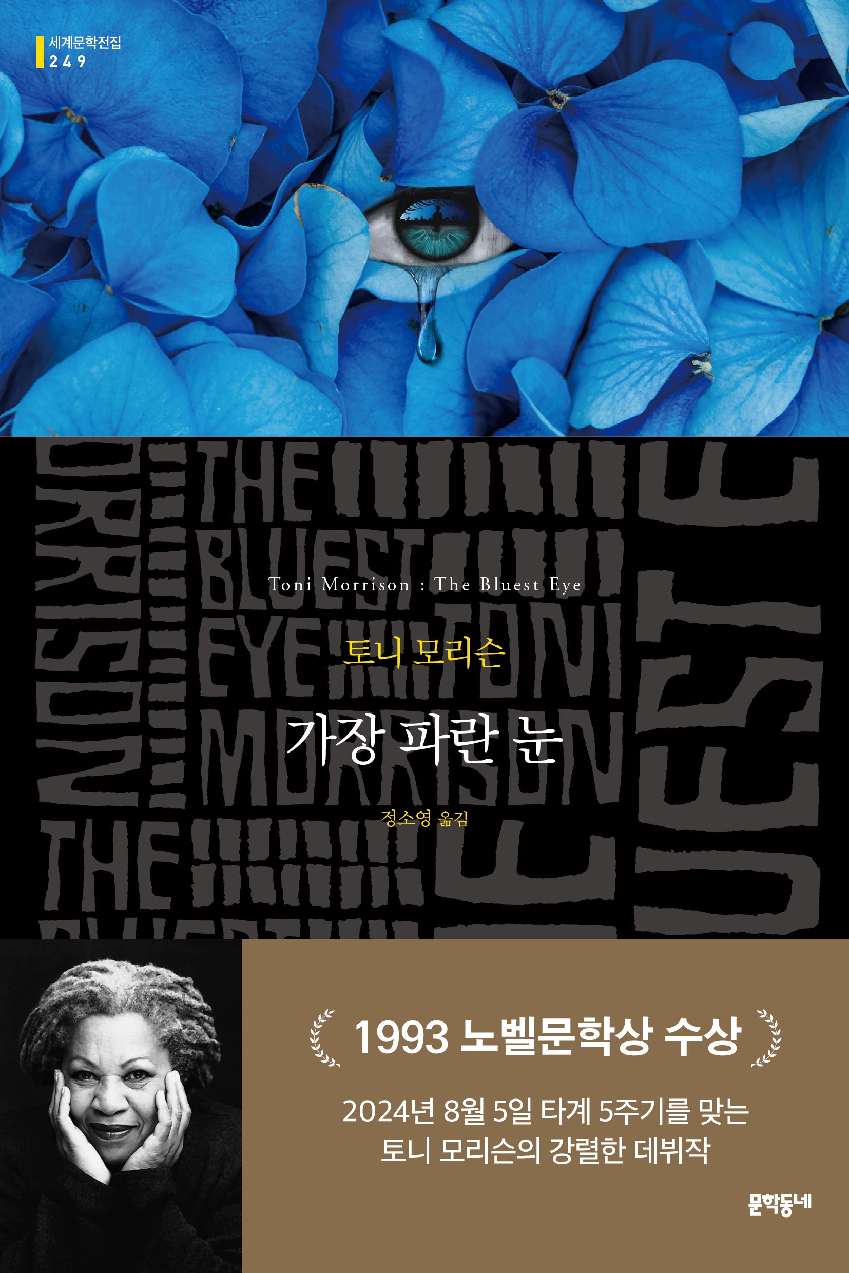 가장 파란 눈(문학동네 세계문학전집 249)