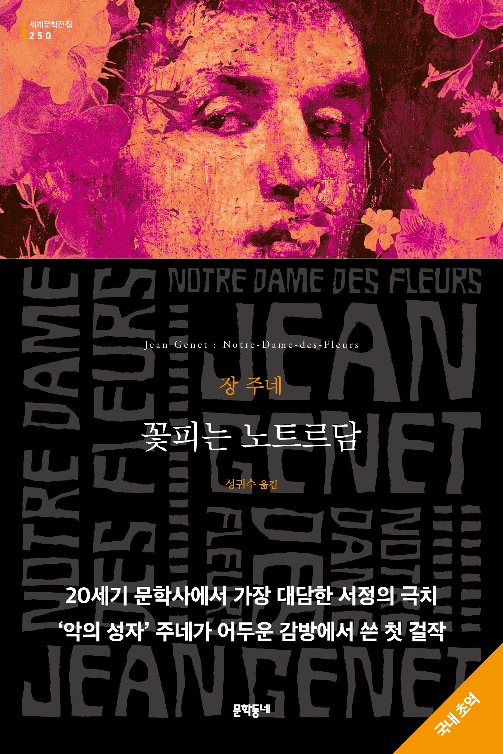 꽃피는 노트르담(문학동네 세계문학전집 250)