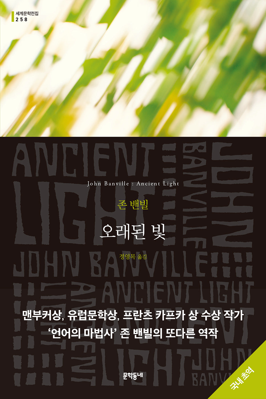 오래된 빛(문학동네 세계문학전집 258)