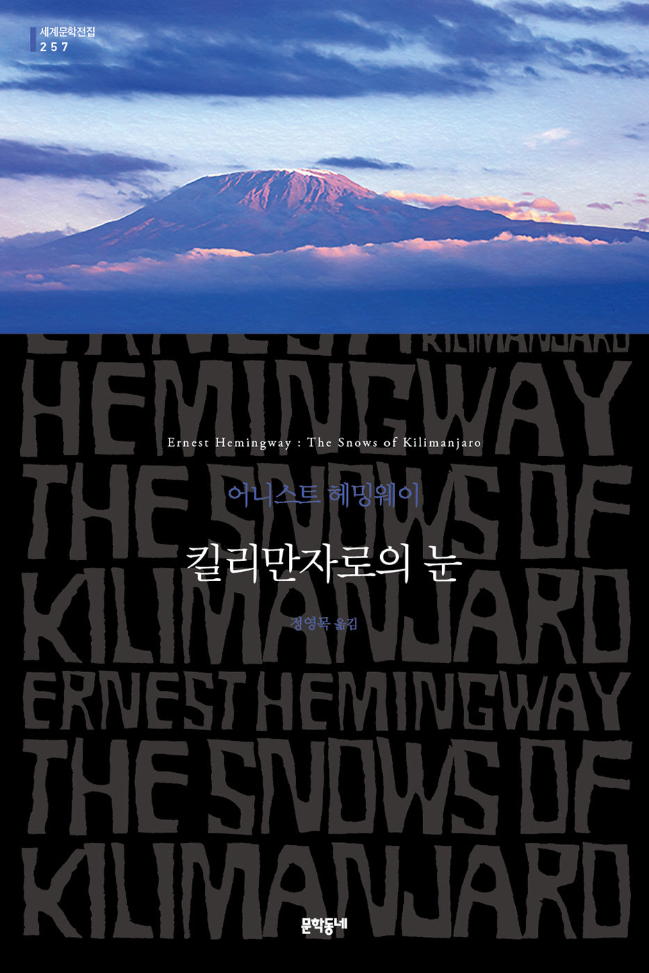 킬리만자로의 눈(세계문학전집 257)