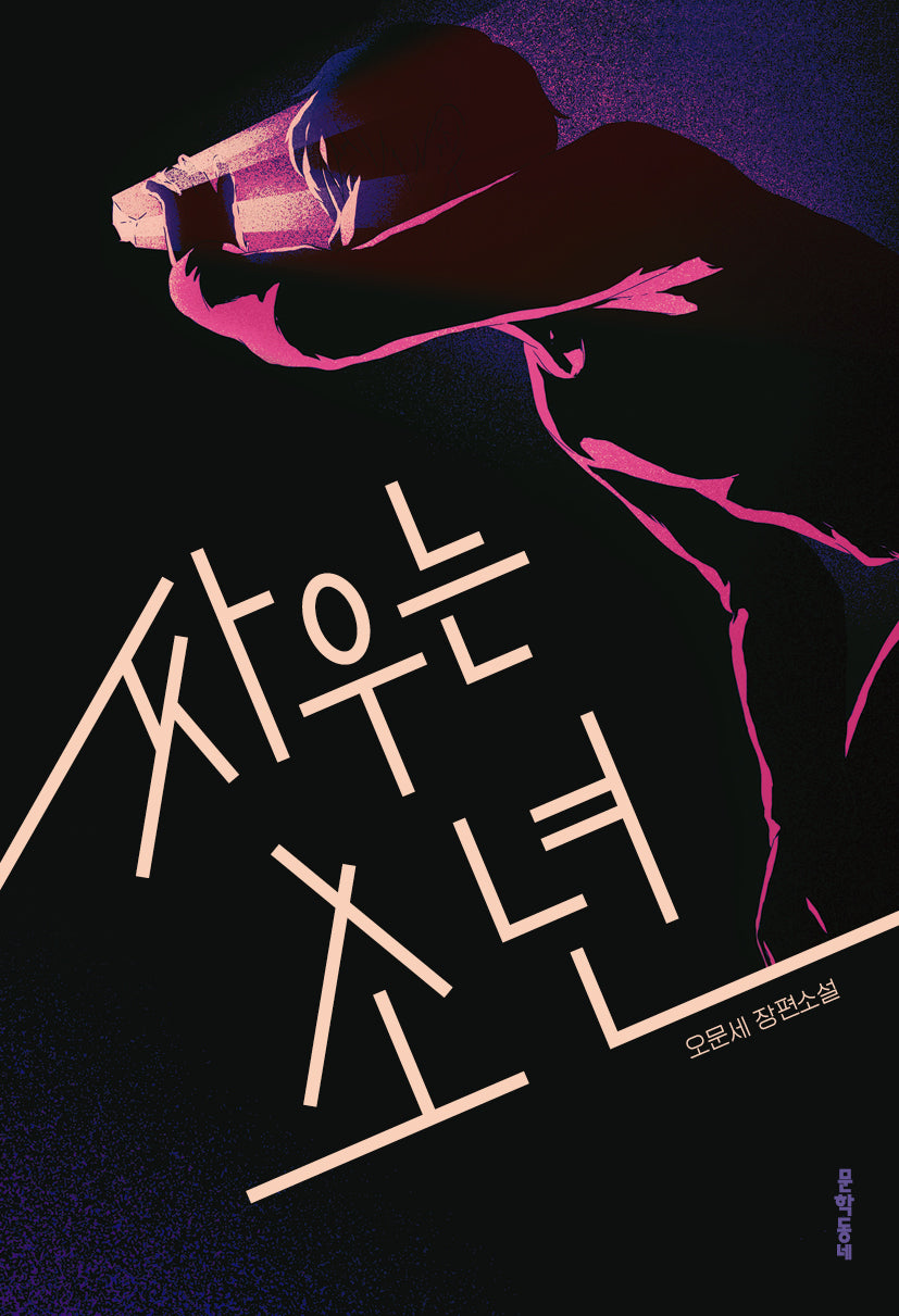 싸우는 소년(개정판)(문학동네청소년 29)