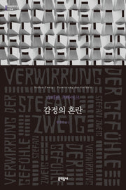 감정의 혼란(문학동네 세계문학전집 264)