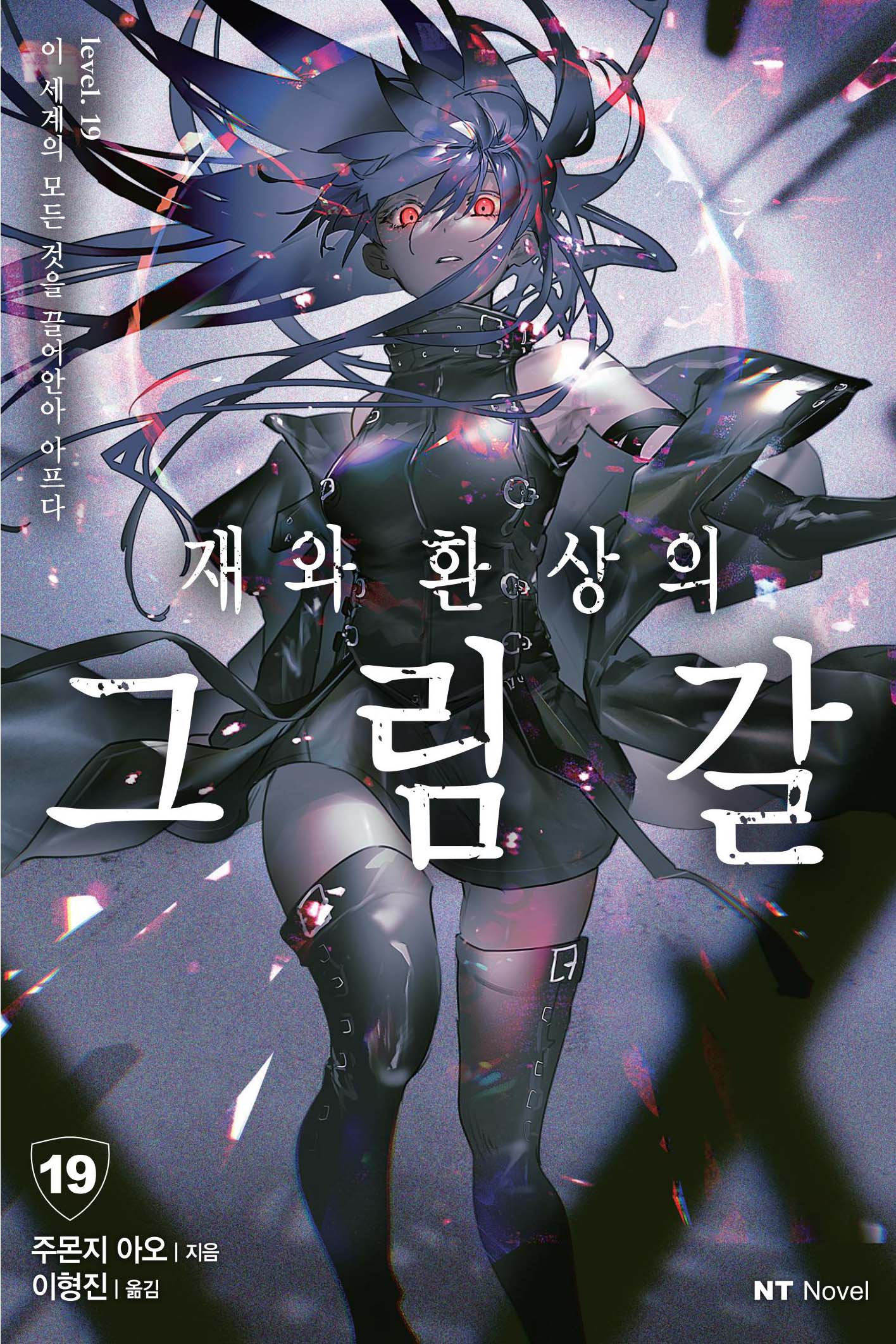 재와 환상의 그림갈 19