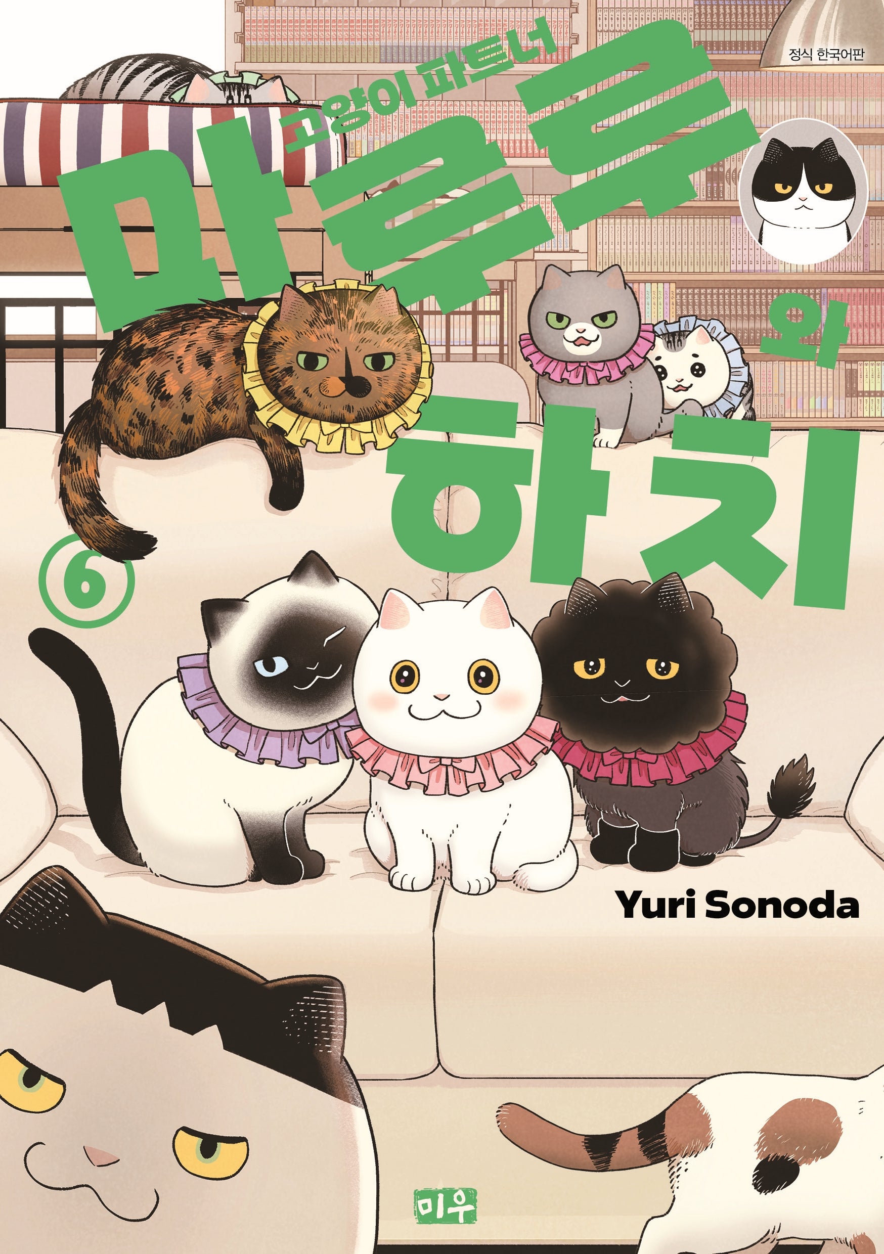 고양이 파트너 마루루와 하치 6