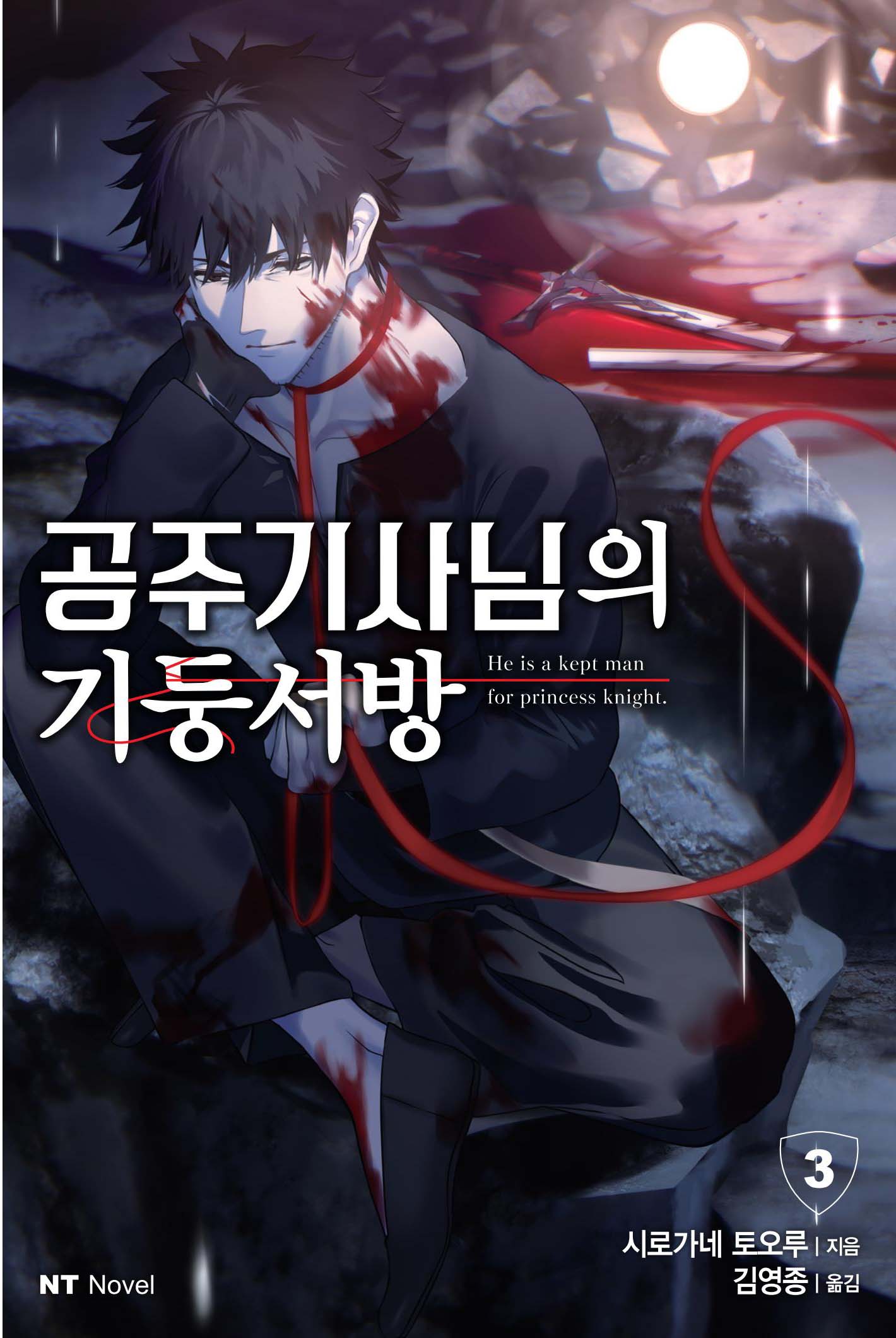 공주기사님의 기둥서방 3(엔티노벨(NT Novel))