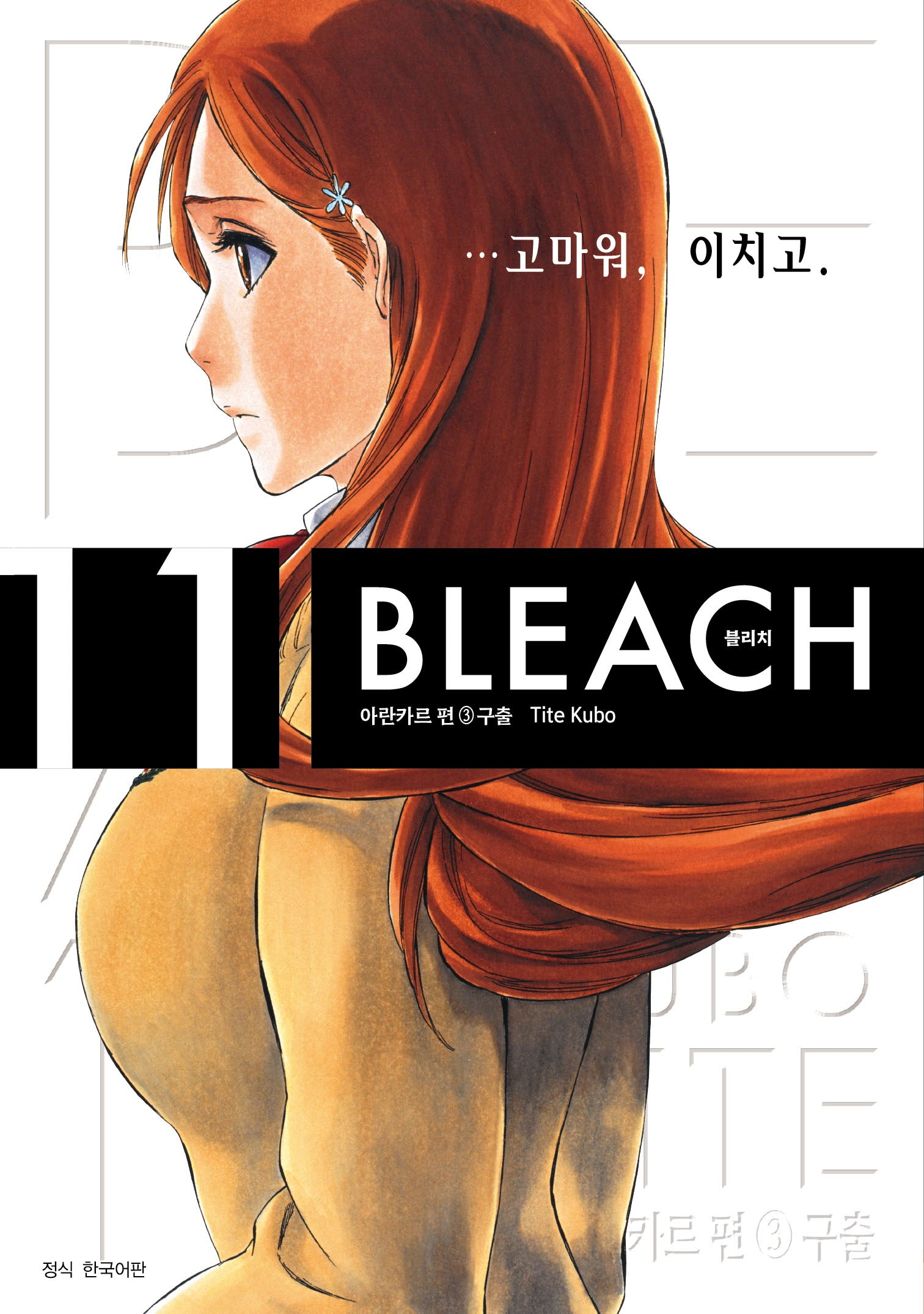 블리치 리믹스 11(아이큐점프 코믹스)
