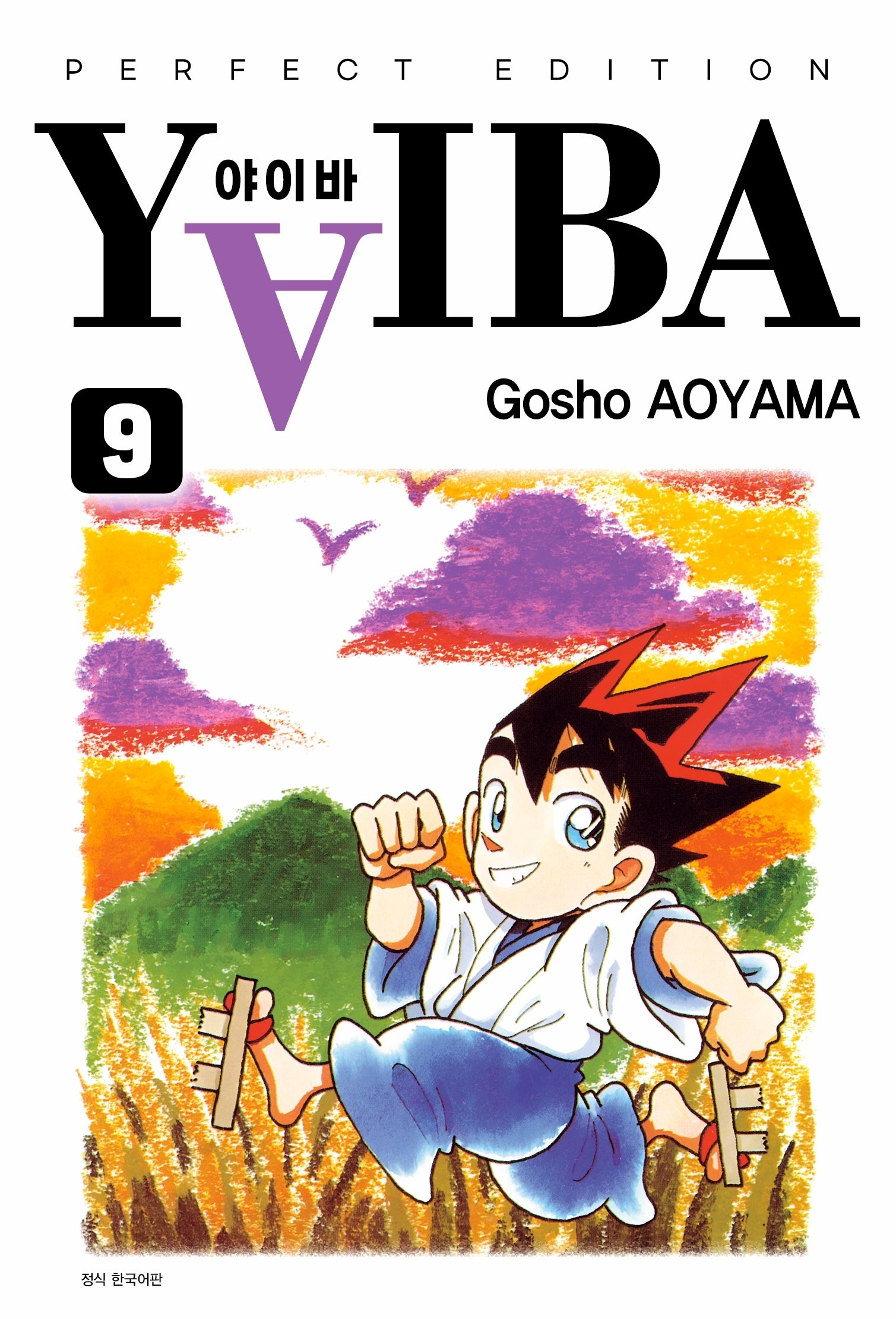 YAIBA(야이바) 완전판 9