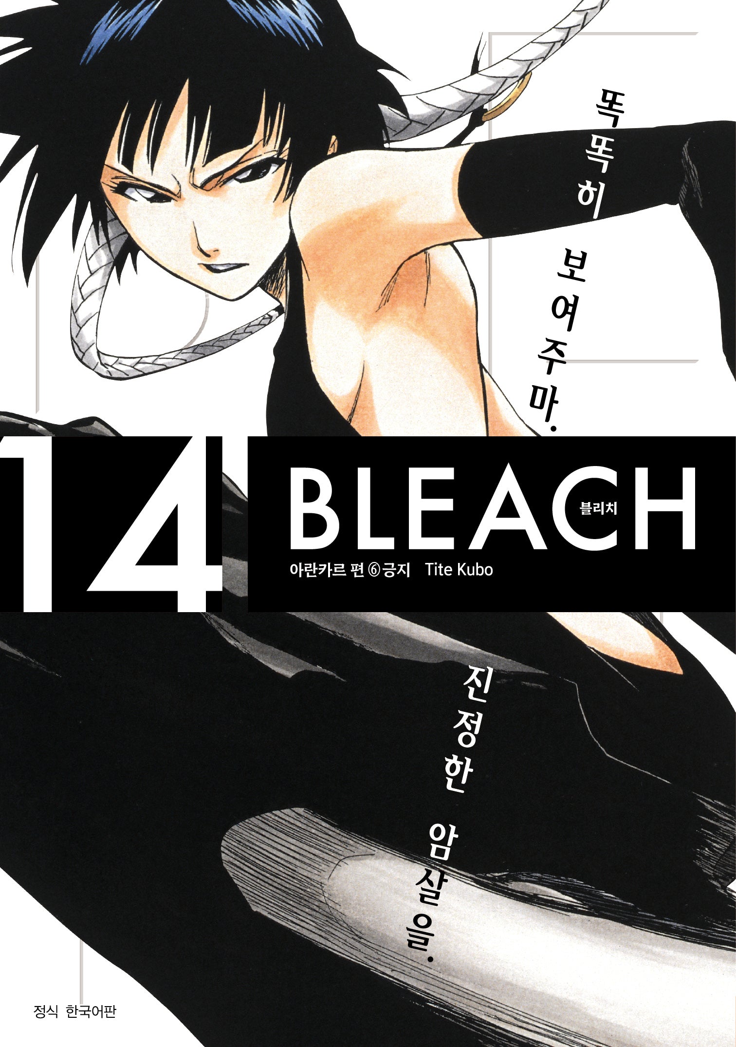 BLEACH 리믹스 (블리치) 14(아이큐점프 코믹스)