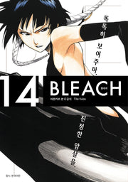 BLEACH 리믹스 (블리치) 14(아이큐점프 코믹스)