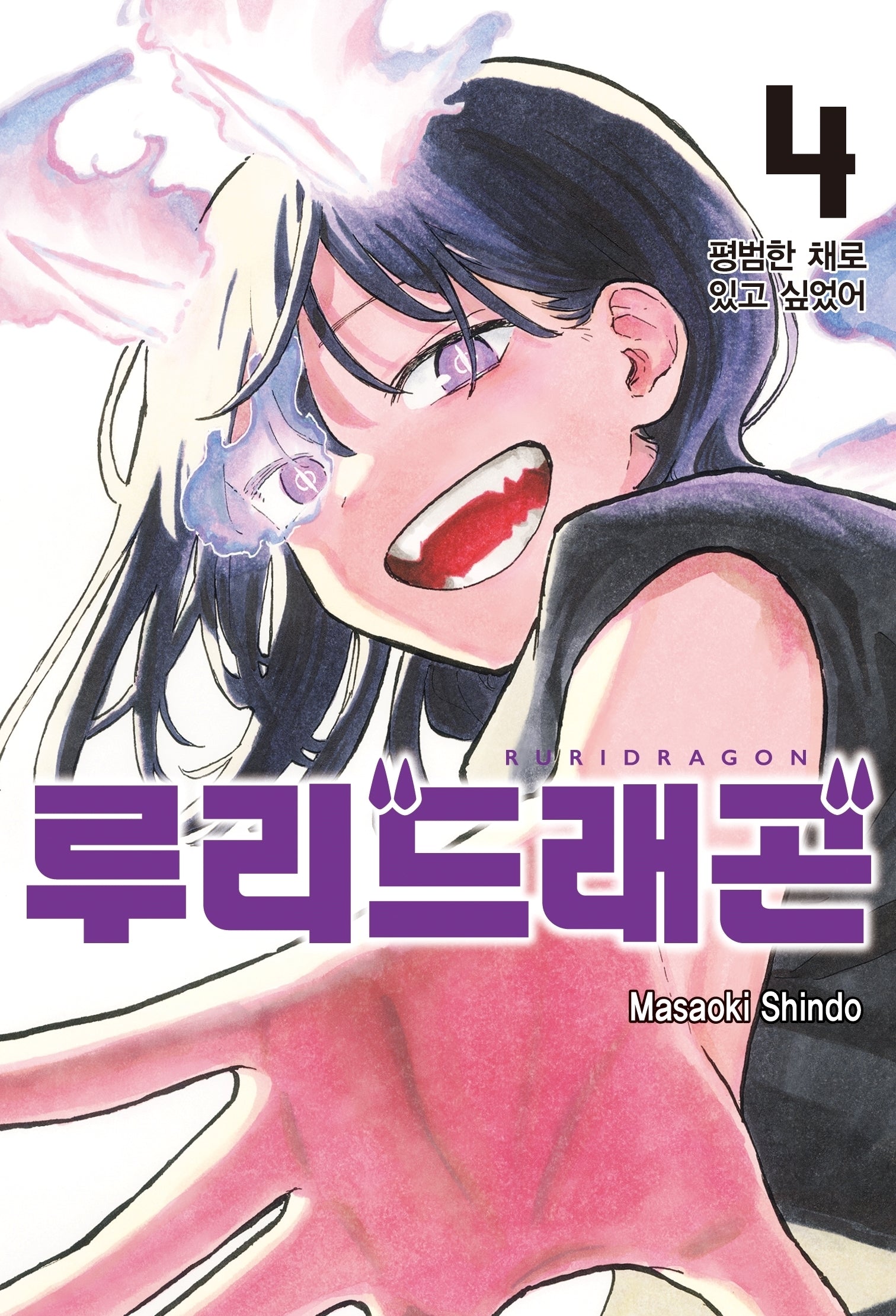 루리 드래곤 4(아이큐점프)