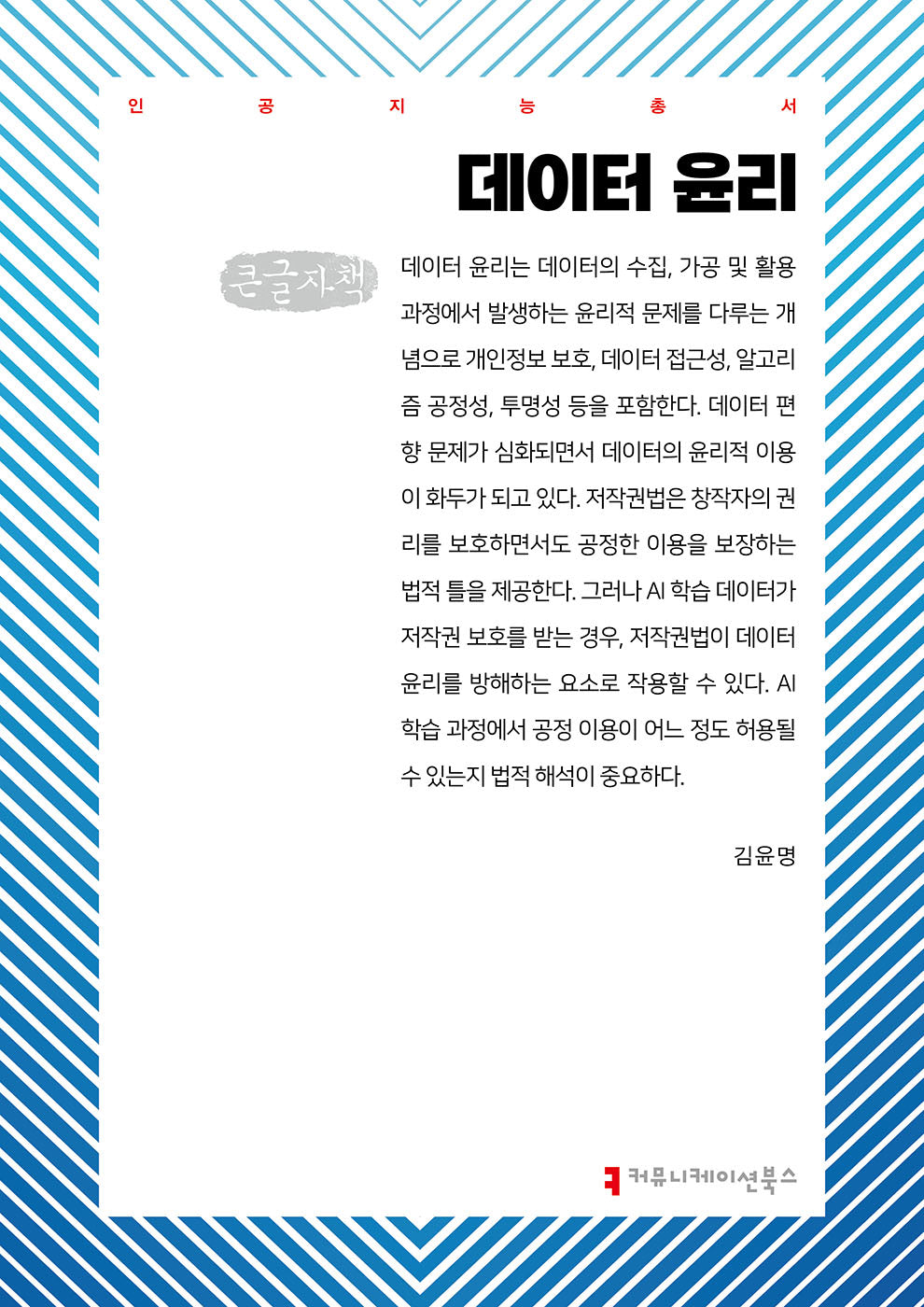 데이터 윤리(큰글자책)(인공지능총서)