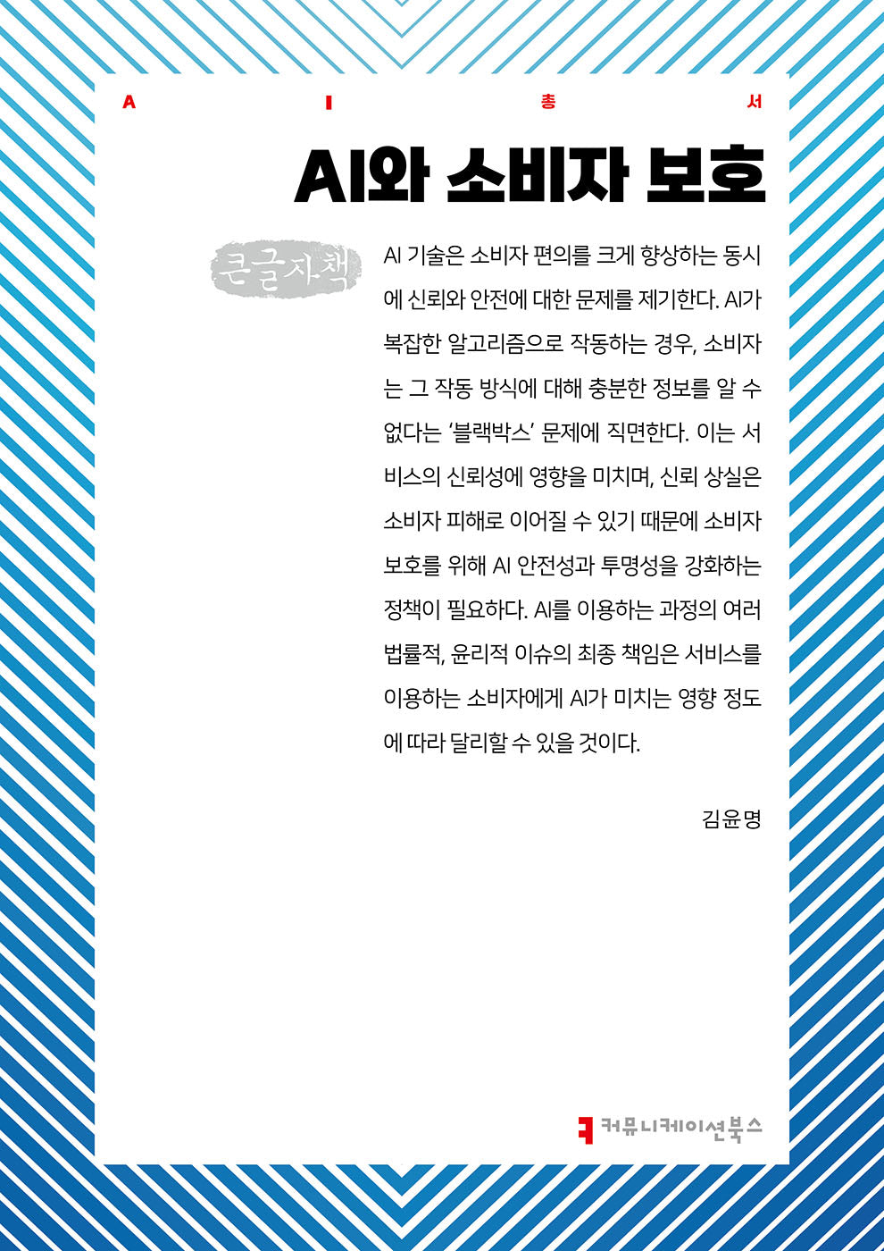 AI와 소비자 보호(큰글자도서)(AI총서)