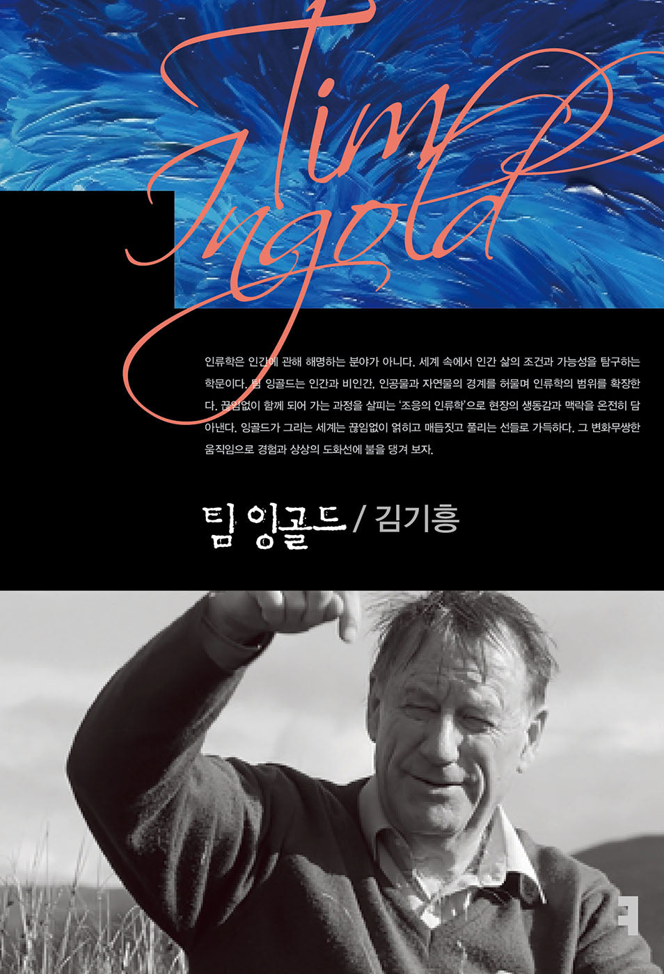 팀 잉골드(컴북스이론총서)