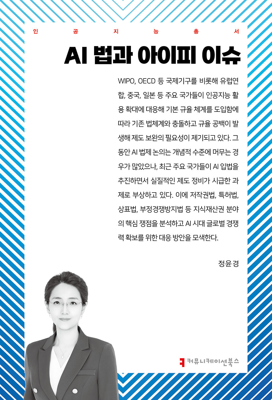 AI 법과 아이피 이슈(인공지능총서)