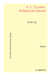 푸시킨 시선