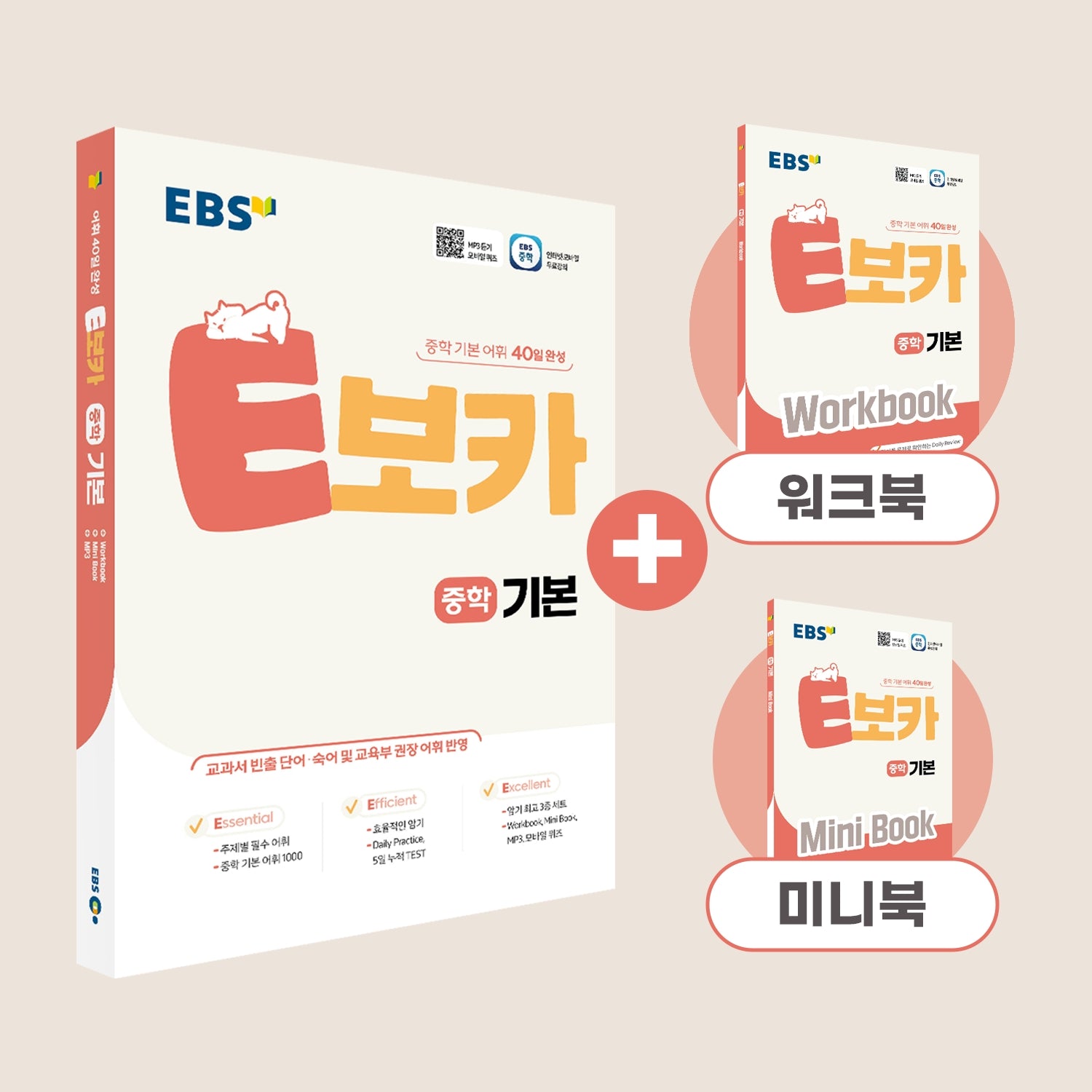 EBS E보카 중학 기본