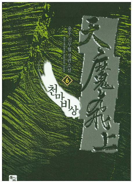 천마비상 6