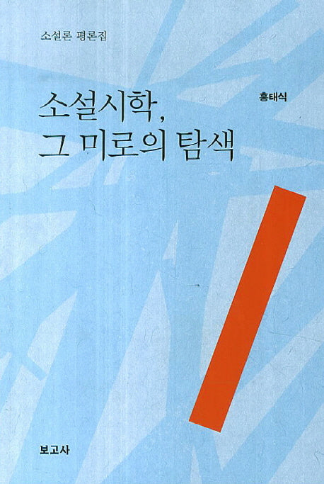 소설시학, 그 미로의 탐색