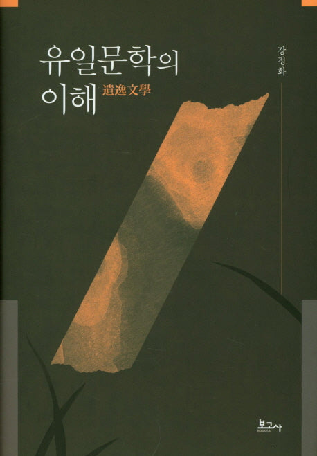 유일문학의 이해(양장본 HardCover)