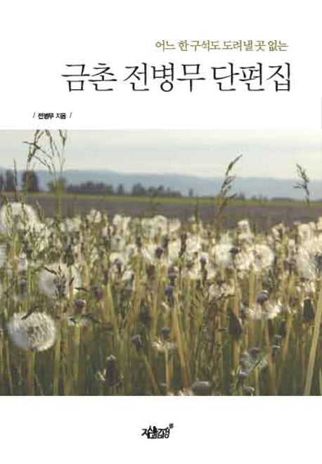 금촌 전병무 단편집(어느 한 구석도 도려낼 곳 없는)