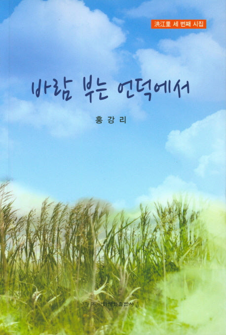 바람 부는 언덕에서