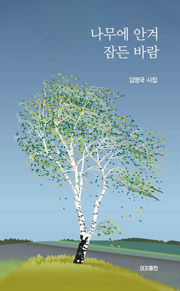 나무에 안겨 잠든 바람