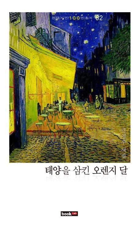 태양을 삼킨 오렌지 달(현대시인 100인 총서 62)
