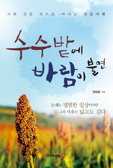 수수밭에 바람이 불면