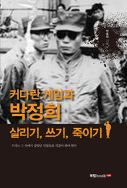 커다란 게임과 박정희 살리기 쓰기 죽이기