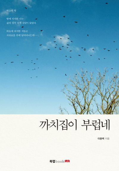 까치집이 부럽네