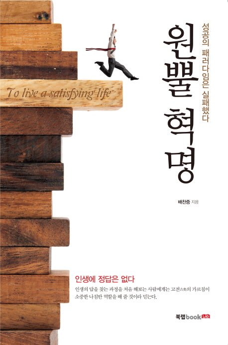 원뿔 혁명