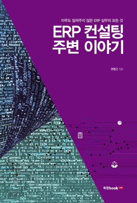ERP 컨설팅 주변 이야기