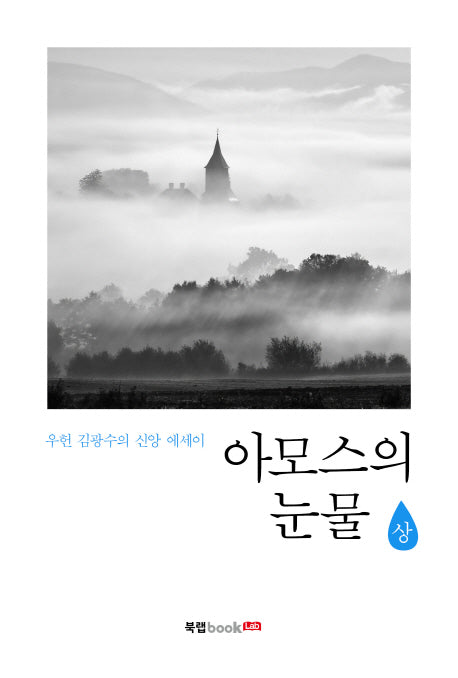 아모스의 눈물(상)