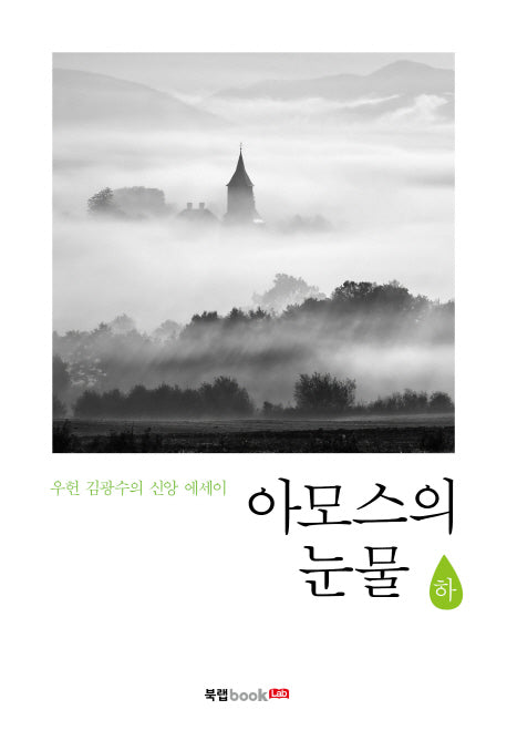 아모스의 눈물(하)