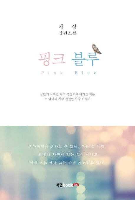 핑크, 블루