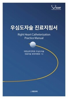 우심도자술 진료지침서
