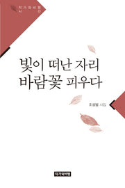 빛이 떠난 자리 바람꽃 피우다(작가와비평 시선)