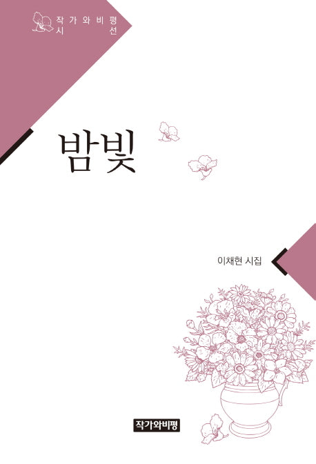 밤빛(작가와 비평 시선)