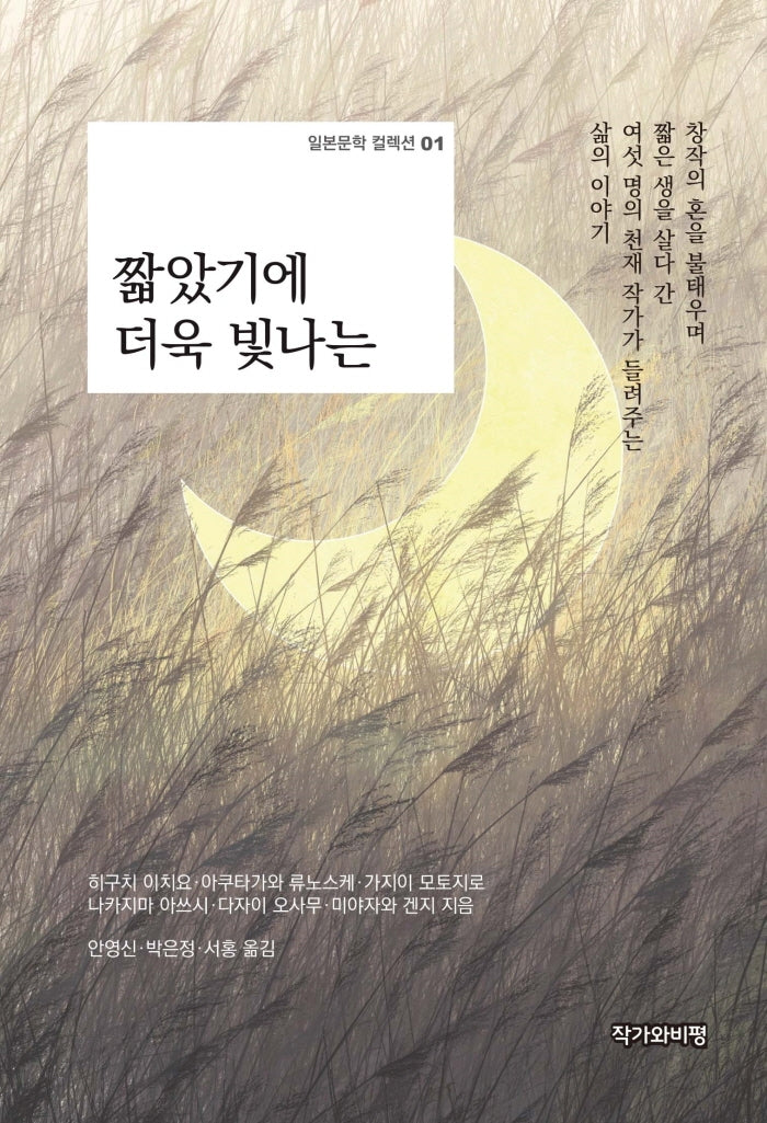 짧았기에 더욱 빛나는(일본문학 컬렉션 1)