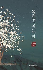 목련꽃 피는 밤