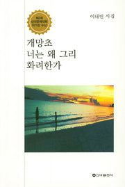 개망초 너는 왜 그리 화려한가