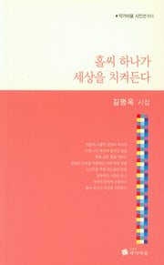 홀씨 하나가 세상을 치켜든다(작가마을 시인선 31)
