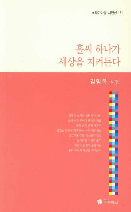 홀씨 하나가 세상을 치켜든다(작가마을 시인선 31)